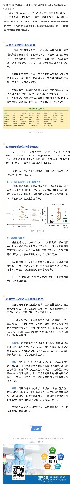 药食同源|这种源自地中海的植物香料竟能够延缓衰老？