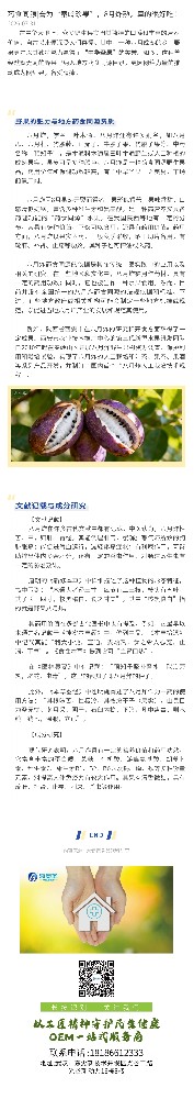药食同源|誉为“秦岭珍果”，8月炸熟，真的很好吃！